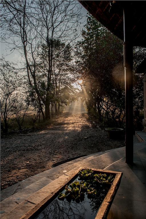 Jim'S Jungle Retreat Hotel Ramnagar  Ngoại thất bức ảnh