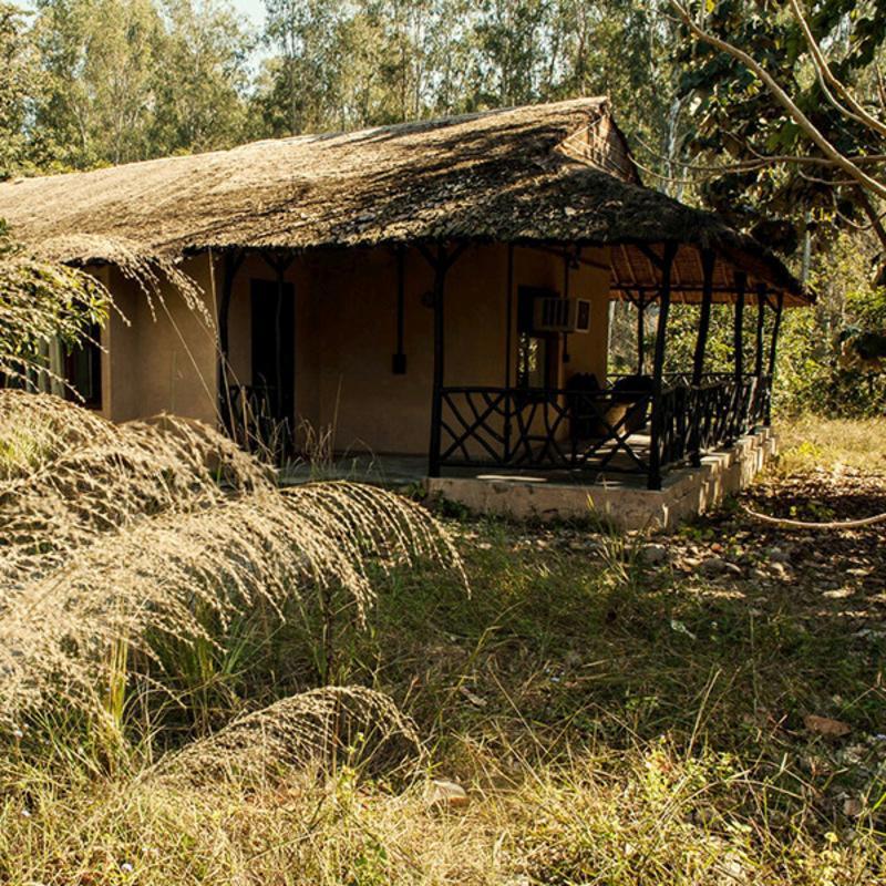 Jim'S Jungle Retreat Hotel Ramnagar  Ngoại thất bức ảnh