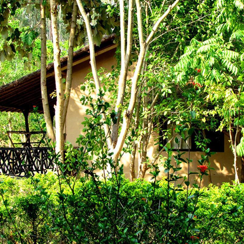 Jim'S Jungle Retreat Hotel Ramnagar  Ngoại thất bức ảnh