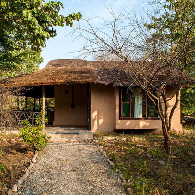 Jim'S Jungle Retreat Hotel Ramnagar  Ngoại thất bức ảnh