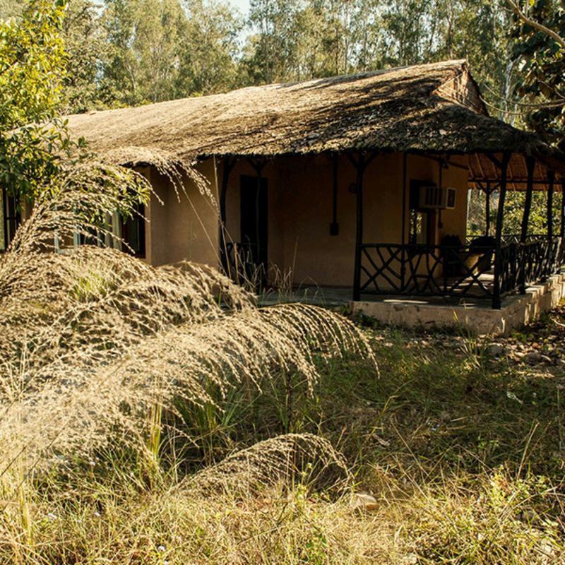 Jim'S Jungle Retreat Hotel Ramnagar  Ngoại thất bức ảnh