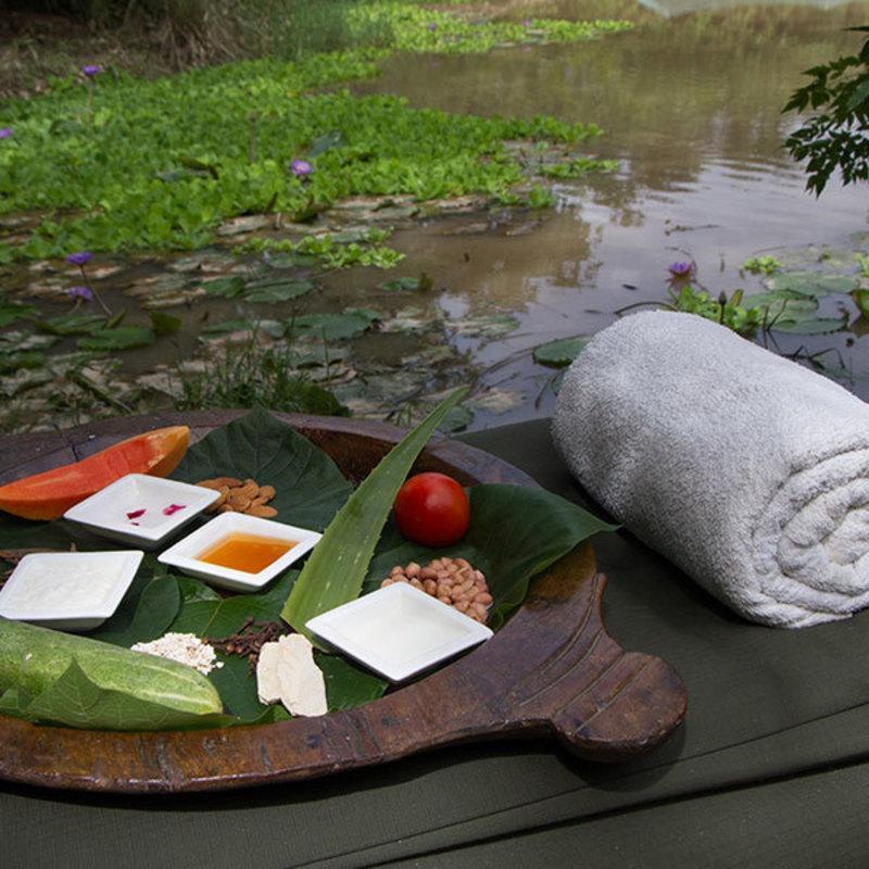 Jim'S Jungle Retreat Hotel Ramnagar  Ngoại thất bức ảnh