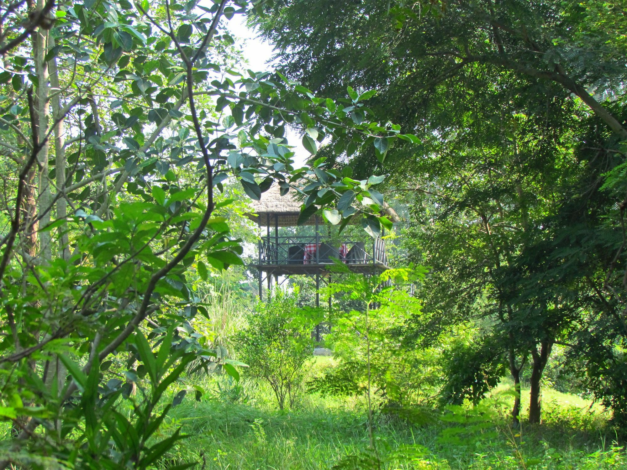 Jim'S Jungle Retreat Hotel Ramnagar  Ngoại thất bức ảnh