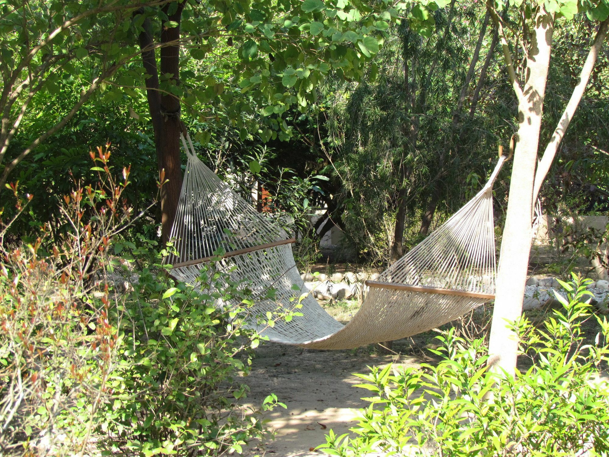 Jim'S Jungle Retreat Hotel Ramnagar  Ngoại thất bức ảnh